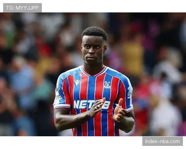 水晶宫四名后卫伤停,格拉斯纳被迫重组防线 水晶宫四名后卫伤停,格拉斯纳被迫重组防线