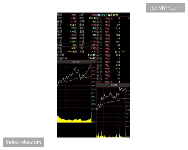 德甲竞争失衡加剧？专家析“强者恒强”背后的经济逻辑